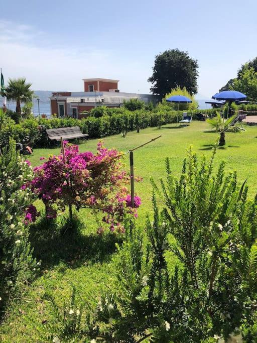 Domus Zagare - Wi-Fi Apartment Baia  Luaran gambar